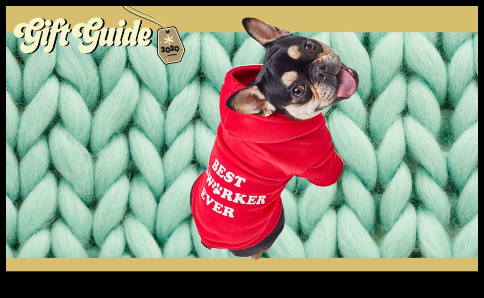 Привилегии за домашни любимци: Подаръци за пухкави приятели и техните другари