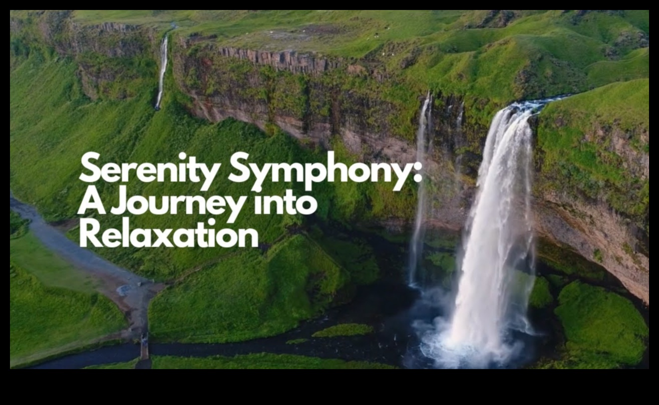 Serenity Symphony: Хармонизиране на живота с облекчаване на стреса