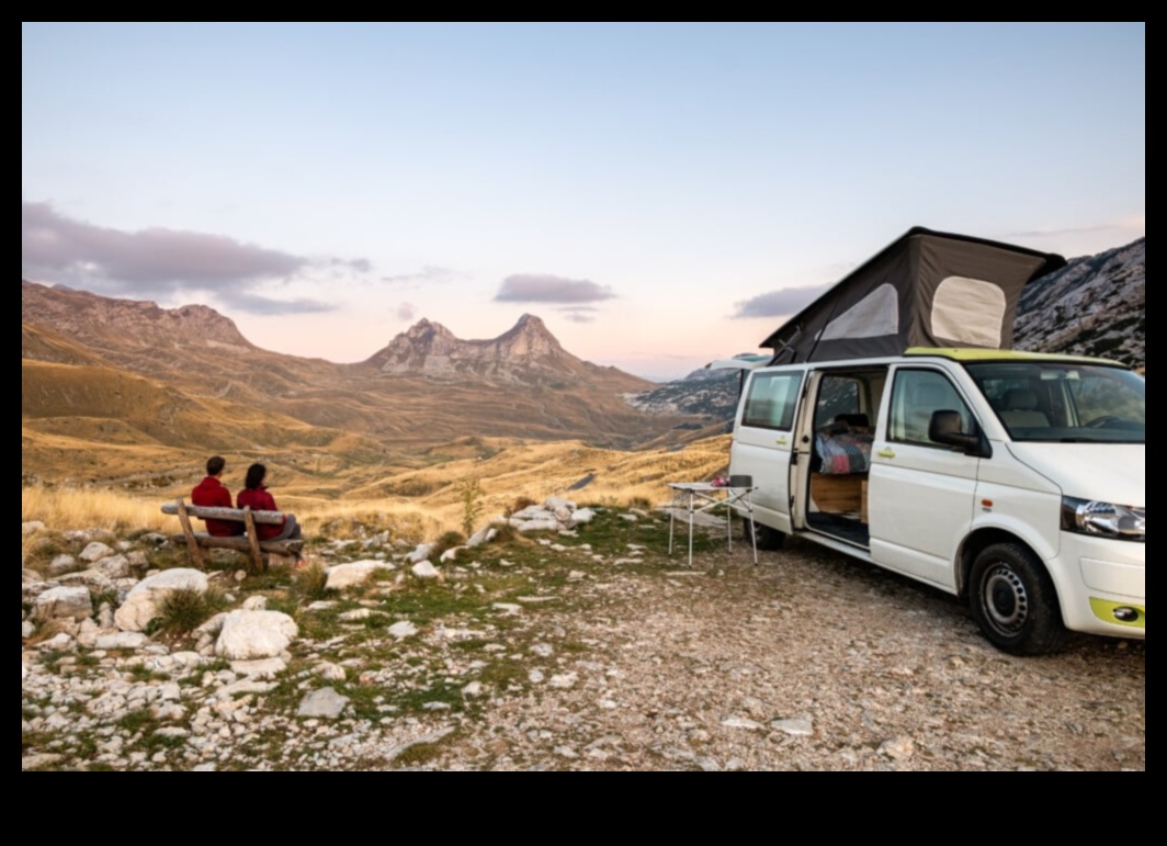 Ванинг за кауза: Инициативи на общността и филантропия по пътя