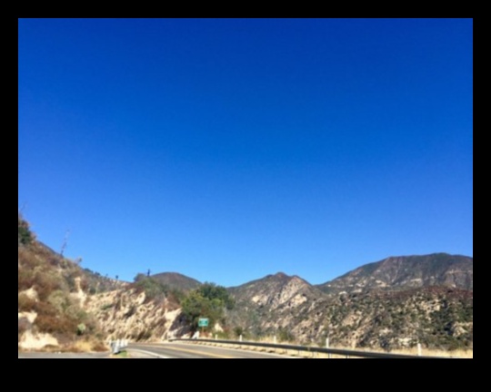 Adrenaline Arcadia: Създаване на вашия рай за вълнение