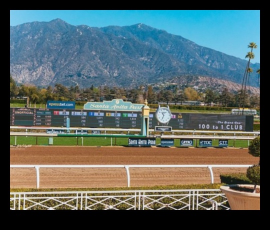 Adrenaline Arcadia: Създаване на вашия рай за вълнение