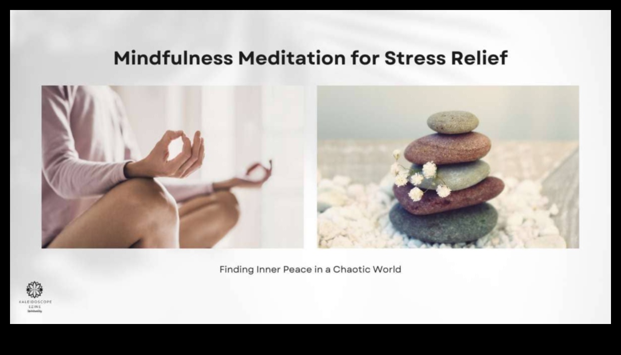 Спокойни практики: Наръчник за възприемане на мъдростта за облекчаване на стреса