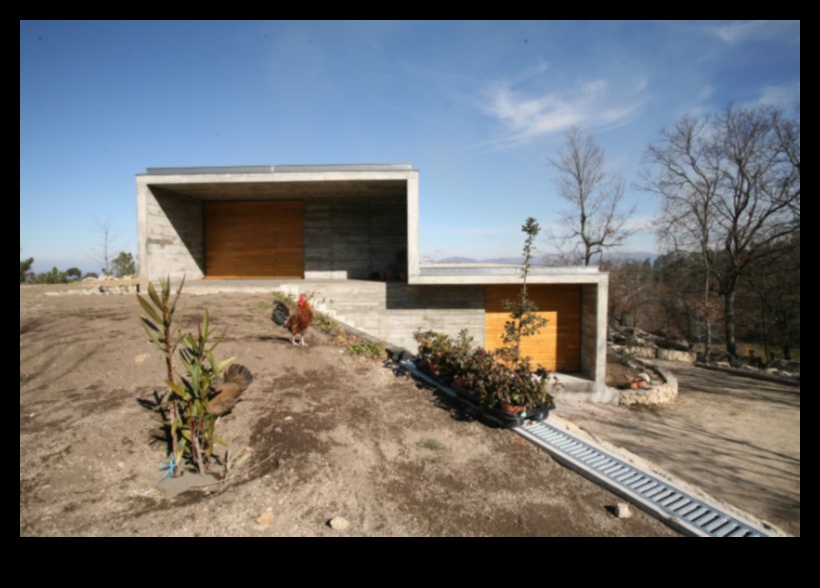 Проектиране на хоризонти: Тенденции и триумфи в архитектурното изкуство