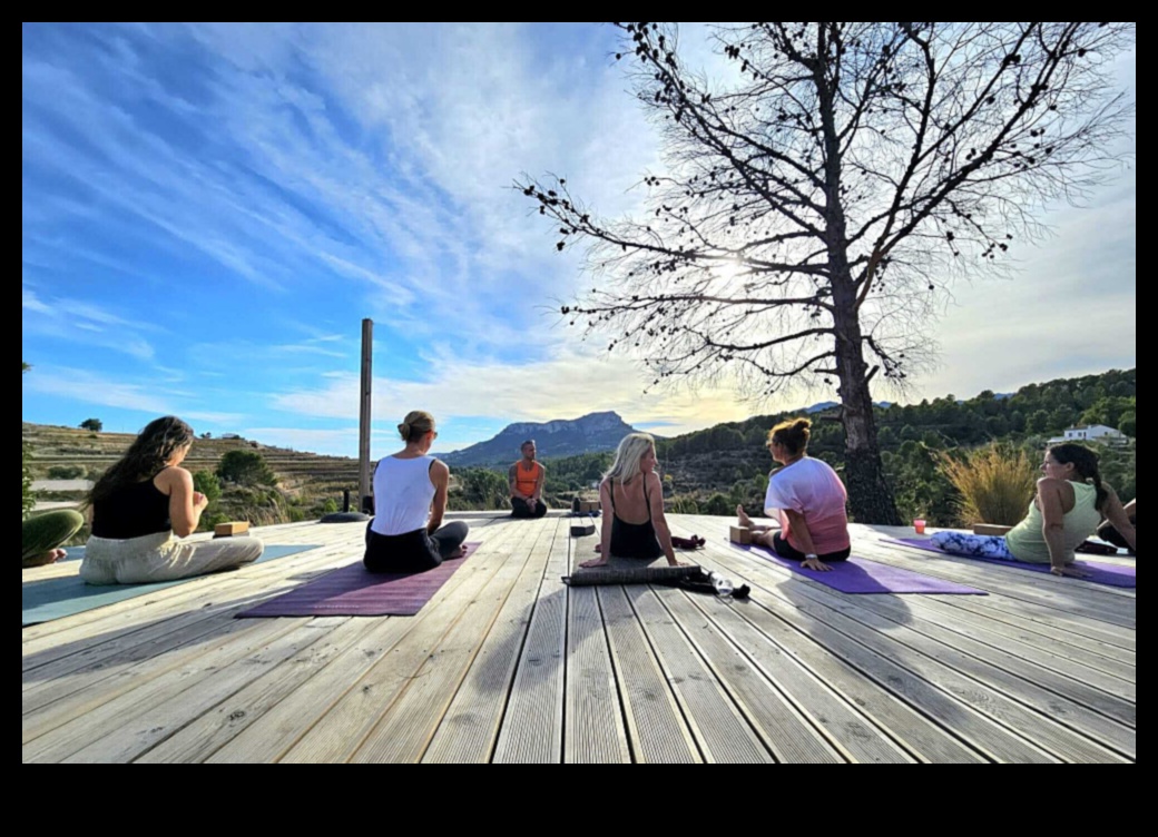 Vinyasa Vistas Ръководство за живописния път на медитация в йога 2 Vinyasa Vistas: Навигиране по живописния път на медитацията в йога