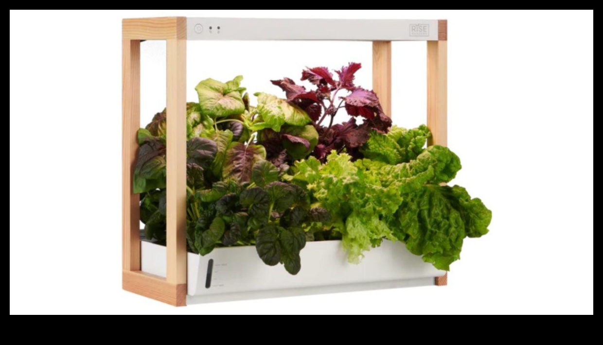 Green Guardian: Екологични подаръци и устойчиви продукти за екологично съзнателния човек