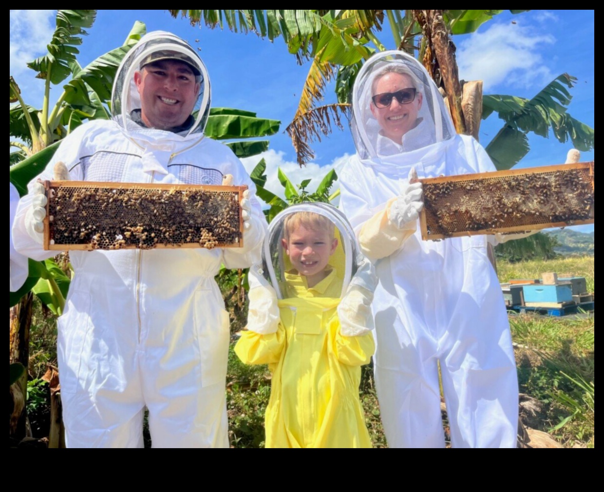 Нектар от квартала: Насладете се на сладостта на местните скъпоценни камъни