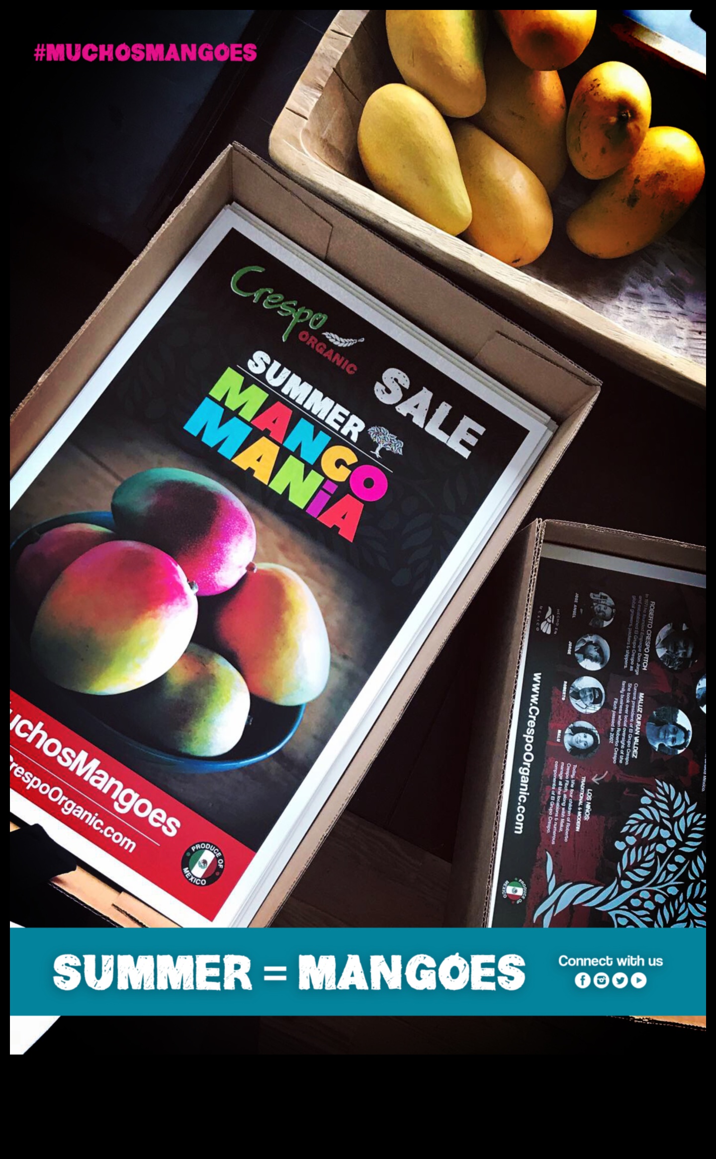 Mango Mania: Сладки и солени творения от мексиканско манго