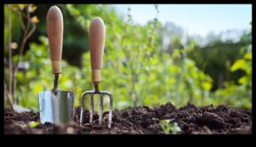 Nature’s Nurturer Gardening Трикове за награда за татко със неопитен палец