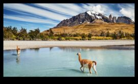 Sightseer’s Sanctuary Открийте блаженство в живописните гледки