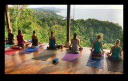 Vinyasa Vistas Информация за живописния посока в съответствие с медитацията в йога