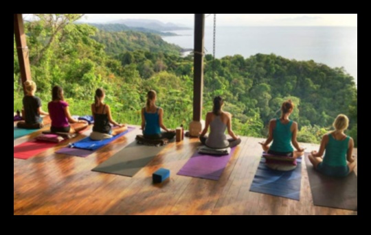 Vinyasa Vistas Ръководство за живописния път на медитацията в йога 1 Vinyasa Vistas: Навигиране по живописния път на медитацията в йога