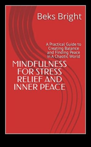 Спокойни практики Ръководство за възприемане според мъдростта за облекчаване според стреса Съвети как да намерим спокойствие и четливост в един хаотичен международен